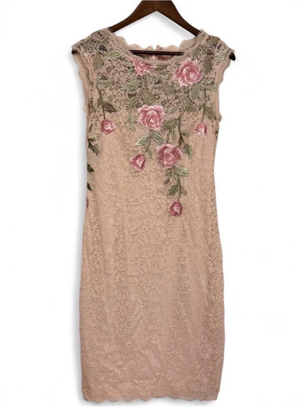 Adrianna Papell Blush Lace Floral Sheath Dress with Pink Rose Embroidery